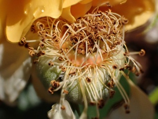 PA155887a.jpg